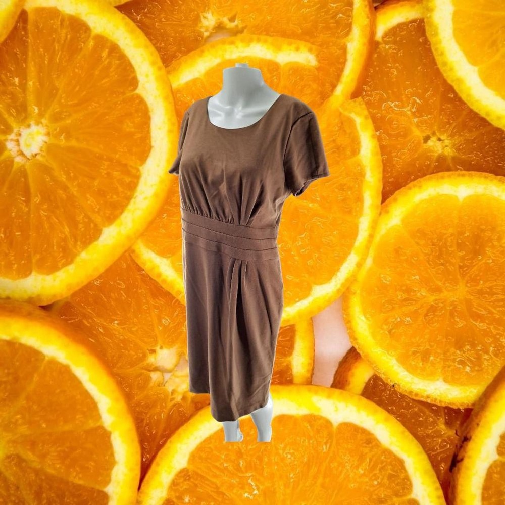 New AK Anne Klein Brown Short Sleeve Dress Size 10